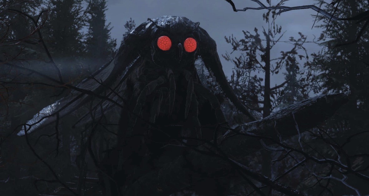Forest sighting